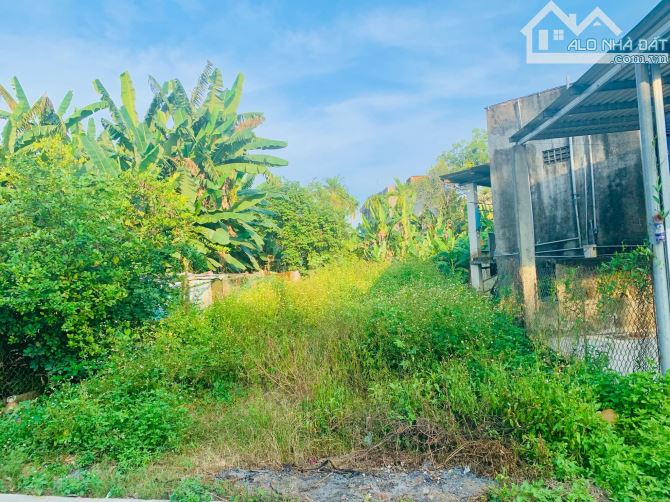 Bán Đất Triêm Đông 2 - Phường Điện Phương - 115m2 - Ngang 6m6 - Oto Thông - 9xx. - 2