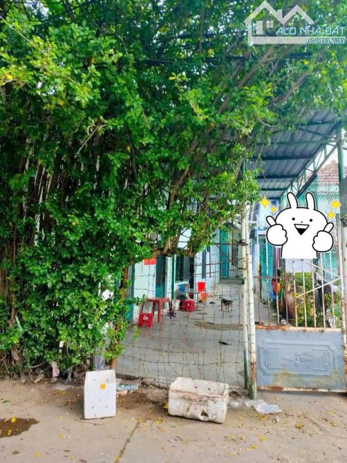 Hiếm: Lô Góc 2 Mặt Tiền Đường Nhà Thờ, Cách Bãi Tắm Hòn Chồng 400 M - 2