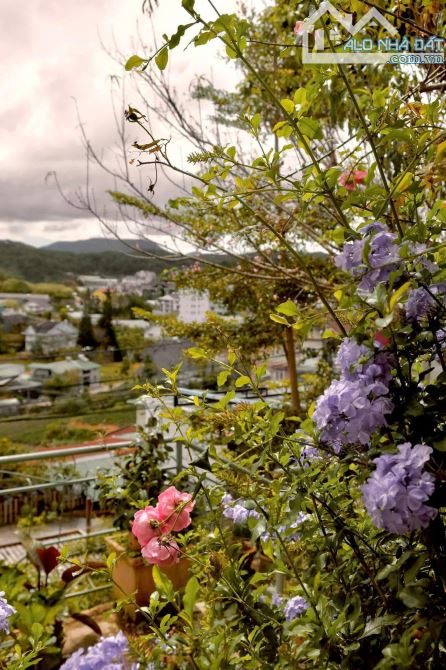 Hạ 6 tỷ bán gấp nhà mặt tiền An Bình Đà Lạt view thung lũng 799m2 ngang 21m chỉ 26 tỷ - 2