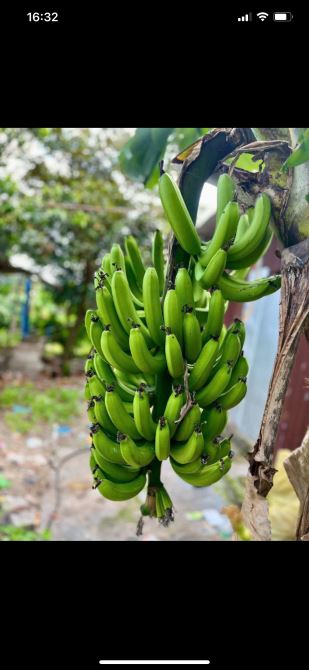 bán lô Suối Tiên - Diên Khánh chỉ cách HL39 chỉ 200m - 2