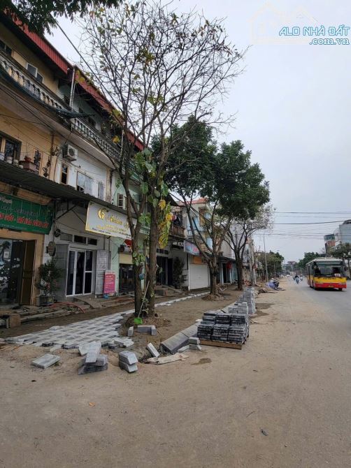 Chính chủ bán nhà mặt đường Hà Lâm 2 Đông Anh , MT 4,2m , diện tích 110m , giá 11 tỷ - 2