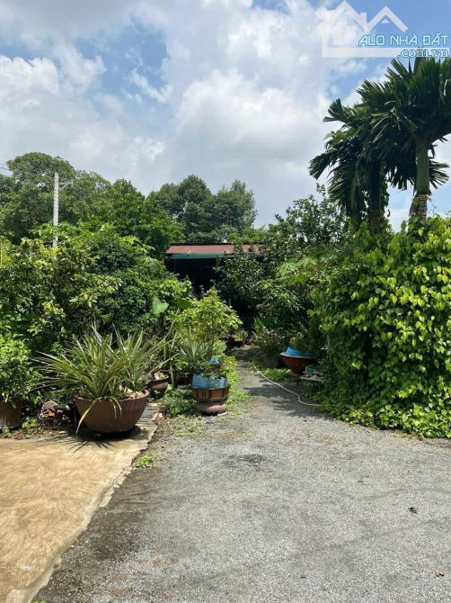 bán nhà vườn 1.000m2 gần sông, phường Tân Vạn - Biên Hoà - 2