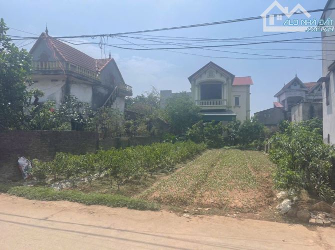 Cần bán 99m đất siêu đẹp tại Phi liệt - 2