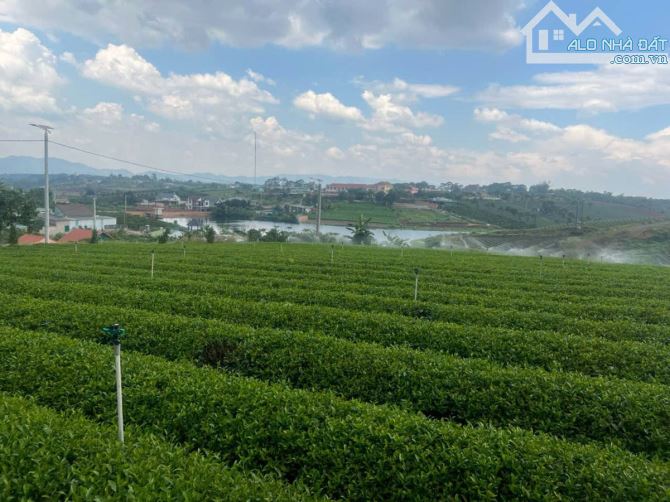 📣 CẦN BÁN GẤP TRONG TUẦN – ĐẤT MẶT TIỀN ĐƯỜNG KHÚC THỪA DỤ, BẢO LỘC, LÂM ĐỒNG - 2