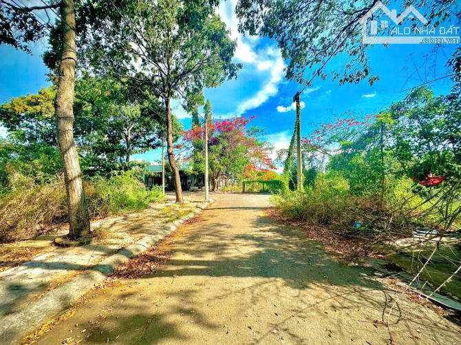 ✅ Bán 2 lô đất thổ cư liền kề đường số 11 KDC phường 5, tp Tân An _ Diện tích: 4 x 16m2 - 2