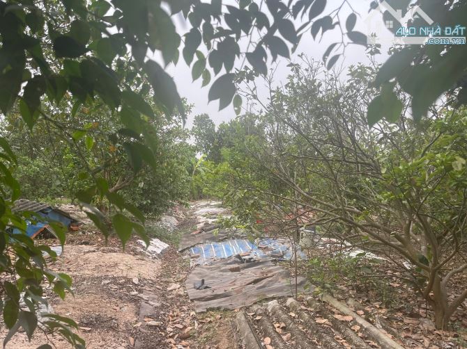 Bán 290m2 đất Yên Mỹ - Thanh Trì, ngay cổng làng, Nhỉnh 1 tỉ - 2