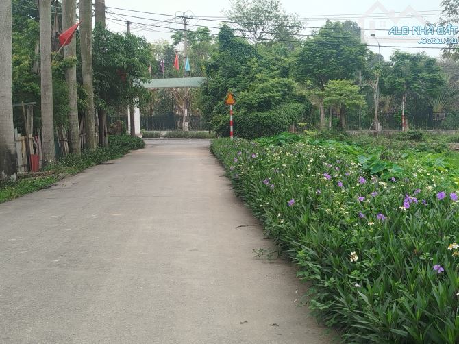 🔥🔥CHỐT NHANH LÔ ĐẤT CỔ LOA – SÁT TRUNG TÂM, GẦN QUỐC LỘ 3 – 2,75 TỶ - 2