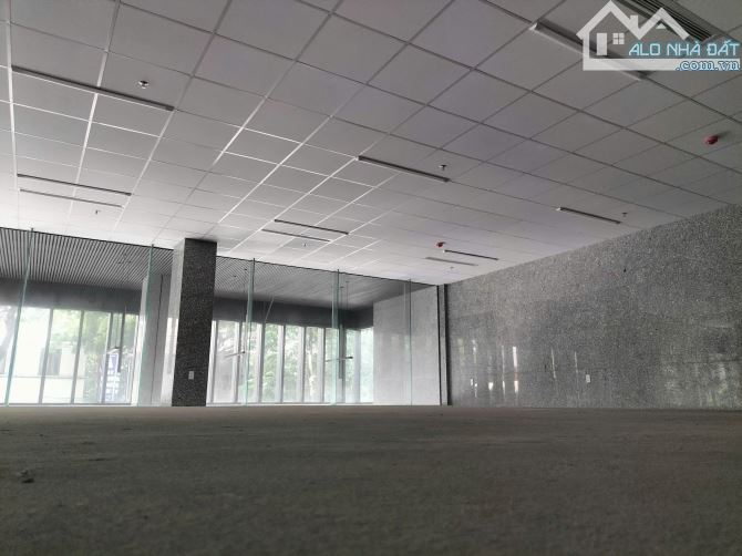 Cho thuê sàn văn phòng mặt tiền Phạm Ngọc Thạch Quận 3, DT: 200m2/ sàn, giá: 122tr/ sàn - 3