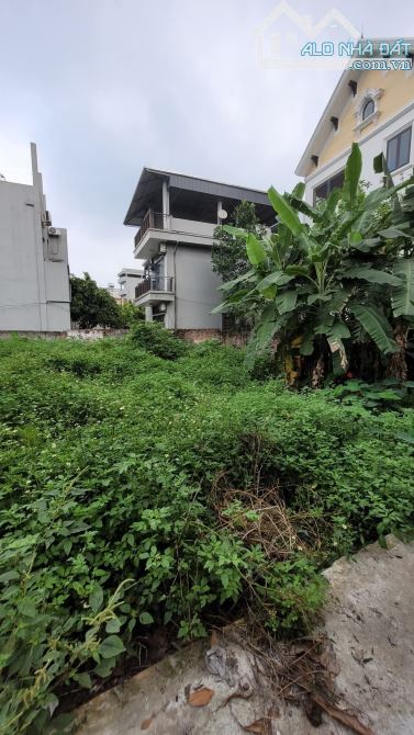 Bán đất Ninh Xá, Ninh Sở _ 59m2_ số vuông, ngõ đẹp_ 2.8 tỷ - 3