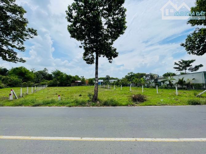 Em gái nhập viện cần bán gấp lô đất đường Cây Trôm Mỹ Khánh, Thái Mỹ - 3