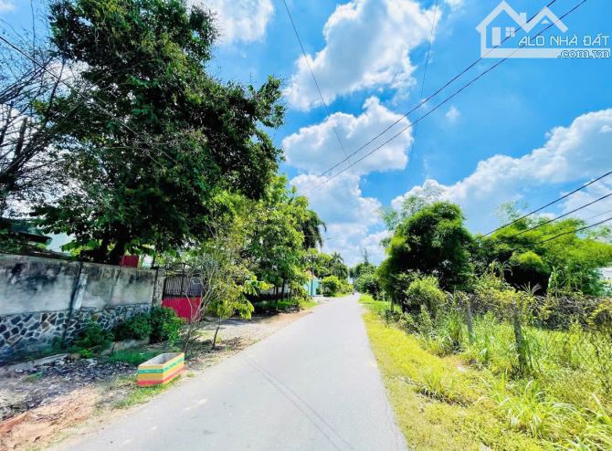 BỚT LỘC LÔ ĐẤT NGỘP 170m2 SÁT CHỢ TÂN THÔNG HỘI, CỦ CHI GIÁ 1 TỶ 150 TRIỆU.SHR - 3