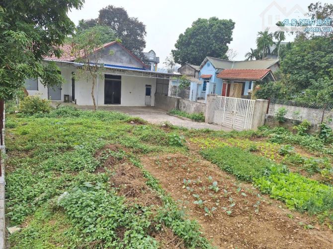 LÔ ĐẤT NHÀ ĐẸP - DIỆN TÍCH 367.5M2 (60M2 TC)- MẶT TIỀN 12M - HUYỆN LƯƠNG SƠN - 3
