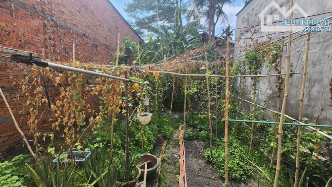 BÁN NHÀ MẶT TIỀN NGUYỄN THỊ THỬ - HÓC MÔN - NGANG 7M - DIỆN TÍCH 300M2 - GIÁ CHỈ 12.9 TỶ - 3
