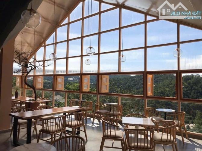 Bán lại đất lớn 3746m2 mặt tiền khu hiều cafe homestay Hoàng Hoa Thám P10 Đà Lạt 100 tỷ - 3