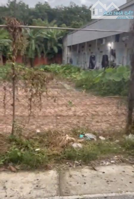 MUA ĐẤT CÁCH TRƯỜNG HỌC HOÀ PHÚ 20M XÃ PHÚ CHÁNH THỊ XÃ TÂN UYÊN BÌNH DƯƠNG - 3