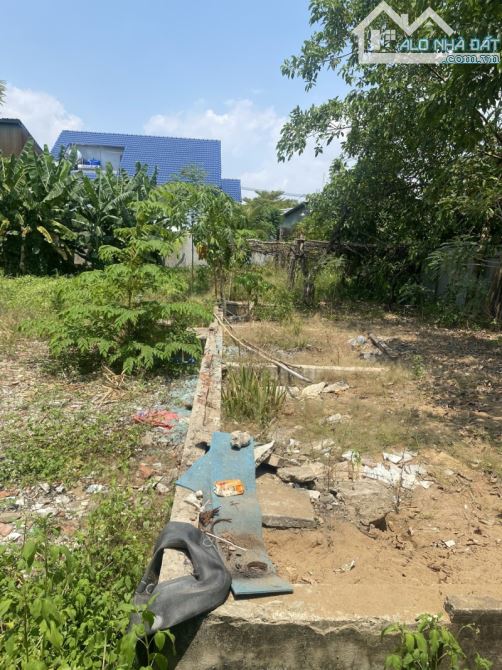 Gấp Bán 605M2 Đất Full Thổ, Ngang 20M, Đường Lã Xuân Oai-Long Trường. Thủ Đức - 3