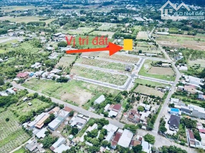 CẦN BÁN LÔ ĐẤT MẶT TIỀN NHỰA SỐ 14A  LONG PHƯỚC – TP. BÀ RỊA – VŨNG TÀU - 3