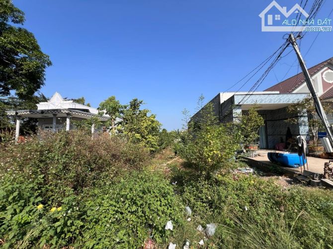 BÁN LÔ BIỆT THỰ 477M2(8MX63M) ĐẤT THỔ CƯ KHU DÂN CƯ ĐÔNG ĐÚC CHỈ 1TY5 - 3