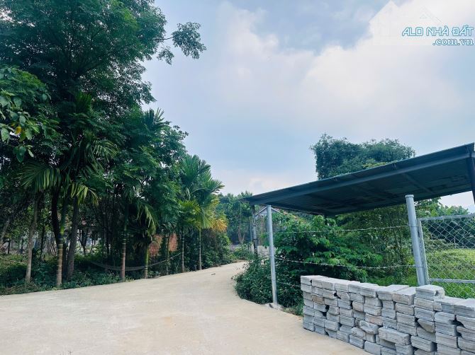 💥Chỉ 590 triệu có lô đất vườn view cánh đồng mát mẻ Hoà Nhơn,Hoà Vang - 3