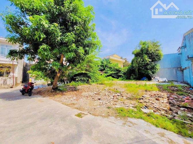 🔥 BÁN LÔ ĐẤT ĐẸP KIỆT Ô TÔ CHI LĂNG – GẦN CHỢ ĐÔNG BA 🔥 - 3