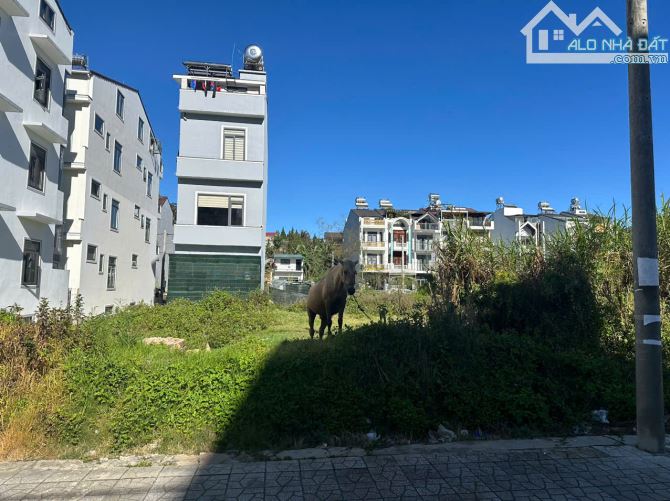 Cần bán đất KQH Phạm Hồng Thái đường  ô tô lớn 87m2 hạ còn 9ty3 gần hồ xuân hương. - 3
