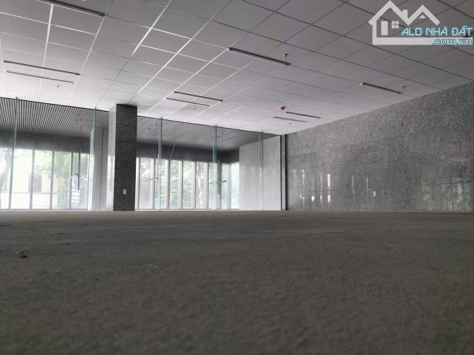 Cho thuê sàn văn phòng mặt tiền Phạm Ngọc Thạch Quận 3, DT: 200m2/ sàn, giá: 122tr/ sàn - 4