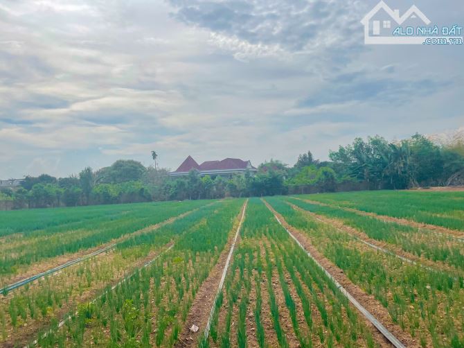 LÔ ĐẤT RẺ SIÊU HIẾM 6575M2 MT XUYÊN PHƯỚC CƠ, SẴN THỔ CƯ, CÁCH BẾN XE XUYÊN MỘC CHỈ 700M - 4