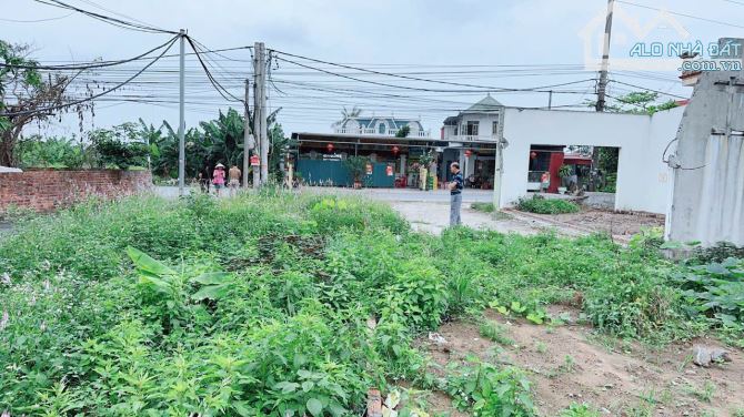 Bán đất 402 Tư Thủy - Hòa Nghĩa - Dương Kinh - Hải Phòng - 4