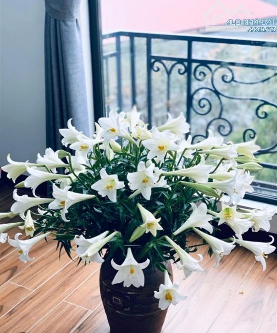 LƯƠNG KHÁNH THIỆN. HOÀNG MAI,5 TẦNG, 5 M RA OTO  TRÁNH OTO.5,5 TỶ - 4