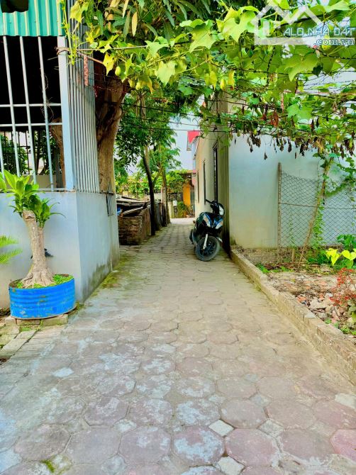 ĐẤT 2 MẶT THOÁNG SÁT HỒ LẠI ĐÀ ĐÔNG ANH 43M GIÁ MỀM ĐẦU TƯ SIÊU TIỀM NĂNG - 4