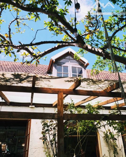 Hạ 6 tỷ bán gấp nhà mặt tiền An Bình Đà Lạt view thung lũng 799m2 ngang 21m chỉ 26 tỷ - 4