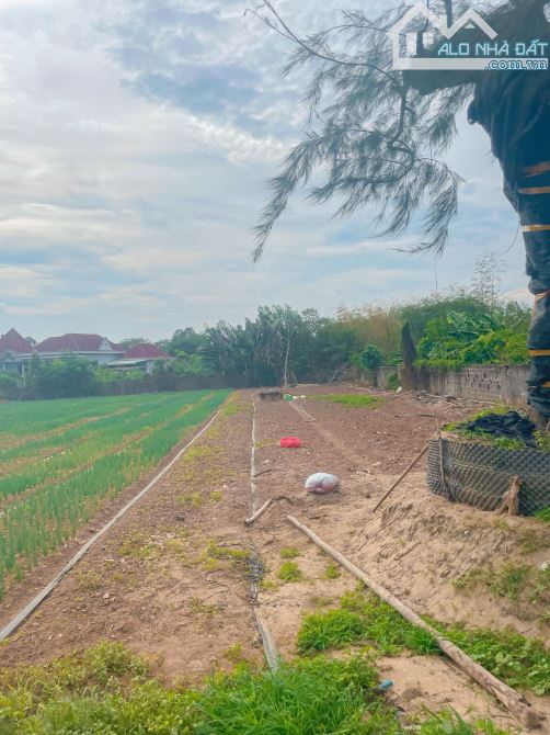 LÔ ĐẤT RẺ SIÊU HIẾM 6575M2 MT XUYÊN PHƯỚC CƠ, SẴN THỔ CƯ, CÁCH BẾN XE XUYÊN MỘC CHỈ 700M - 5