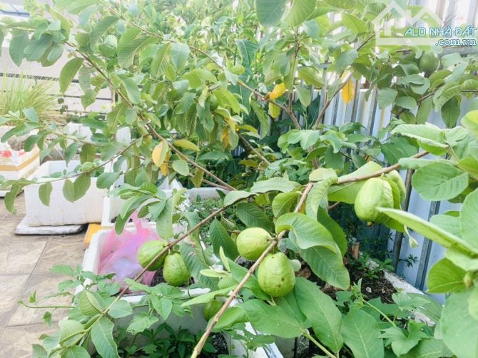 BÁN NHÀ LÊ VĂN QUỚI 84m2 4 TẦNG 5PN GIÁ 8,x TỶ - 5