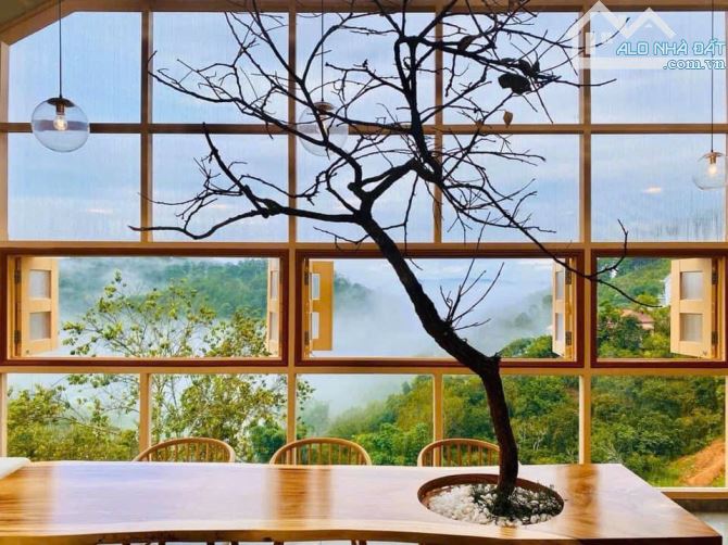 Bán lại đất lớn 3746m2 mặt tiền khu hiều cafe homestay Hoàng Hoa Thám P10 Đà Lạt 100 tỷ - 5