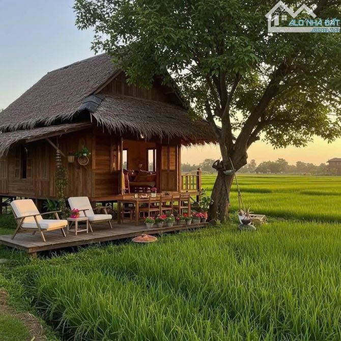 💥Chỉ 590 triệu có lô đất vườn view cánh đồng mát mẻ Hoà Nhơn,Hoà Vang - 5
