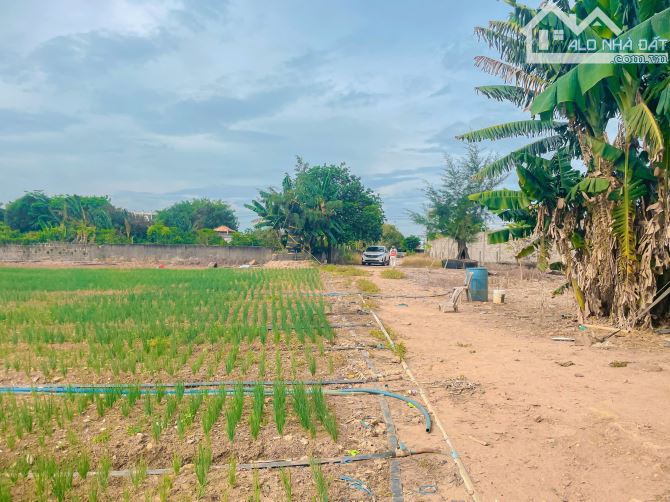 LÔ ĐẤT RẺ SIÊU HIẾM 6575M2 MT XUYÊN PHƯỚC CƠ, SẴN THỔ CƯ, CÁCH BẾN XE XUYÊN MỘC CHỈ 700M - 6
