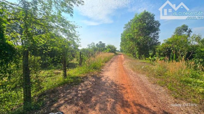 bán vườn , sát bên sông SG - xã AN PHÚ , CỦ CHI TPHCM , 6,3 TỶ , 2860M2 ,có 95,6 m2 thổ cư - 6