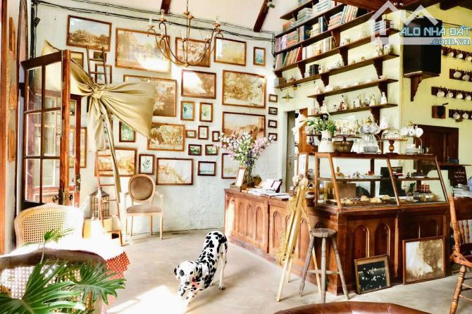 Hạ 6 tỷ bán gấp nhà mặt tiền An Bình Đà Lạt view thung lũng 799m2 ngang 21m chỉ 26 tỷ - 6