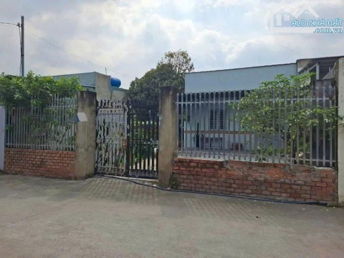 Chủ bán gấp nhà 650 TRIỆU ở Nguyễn Văn Khạ Củ Chi 6x16 ( 99m2 ) Sổ sang tên ngay - 6