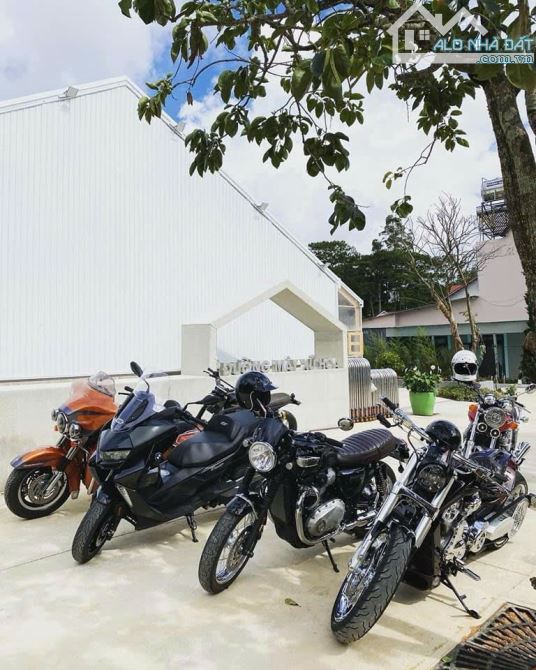 Bán lại đất lớn 3746m2 mặt tiền khu hiều cafe homestay Hoàng Hoa Thám P10 Đà Lạt 100 tỷ - 6