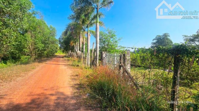 bán vườn , sát bên sông SG - xã AN PHÚ , CỦ CHI TPHCM , 6,3 TỶ , 2860M2 ,có 95,6 m2 thổ cư - 7