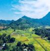 Bán đất thổ cư Vân Hòa, 2429m, 300m đất ở, tựa núi, gần Làng văn hóa, TL 87, chỉ 9.89tỷ