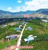 CẦN BÁN GẤP LÔ ĐẤT 513M² – GIÁ RẺ – VIEW THỊ TRẤN NAM BAN - ĐÀ LẠT