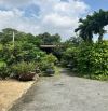 bán nhà vườn phường Tân Vạn - Biên Hoà 1000m2 ( 10 triệu / m2 )