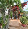 BÁN ĐẤT ĐÔNG HƯNG THUẬN 1226M2 TƯƠNG LAI MẶT TIỀN 16M - VIEW BỜ KÊNH THAM LƯƠNG ĐANG HOÀN