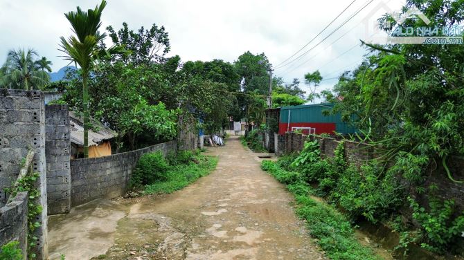 444m Có 200m Đất Ở, Mặt Tiền 12m Sâu 37m - Cách SereNa Resoft 1km