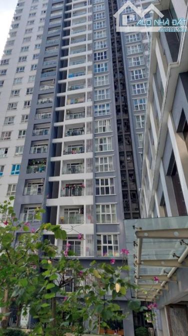 🏢CHO THUÊ CĂN HỘ 🆕 View hồ bơi vô cực 🏊 - MT Nguyễn Hữu Thọ, sát PMH - Phí QL rẻ nhất k