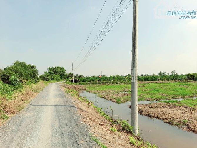 Quá Thơm, Vườn mít 1300m2 đất View Kênh mát mẻ chỉ 1.3 tỷ