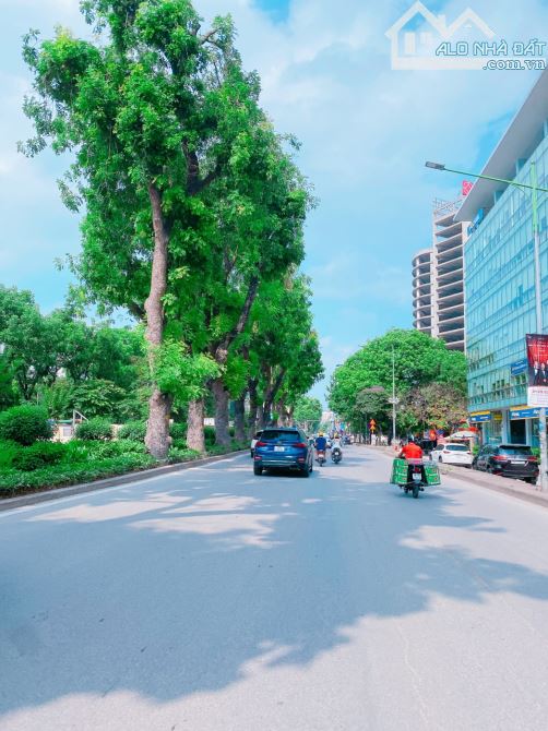 🏡 Bán nhà KIM MÃ, toà CCMN, CHDV, 15 phòng, dòng tiền 110tr/tháng. DT 65m2, 7t, 19.9tỷ