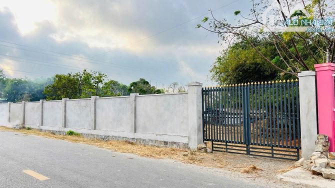 ĐẤT ĐẸP CHỦ GỐC CHƯA QUA ĐẦU TƯ NÊN GIÁ SIÊU TỐT Ạ PHƯỚC HỘI - ĐẤT ĐỎ - BRVT